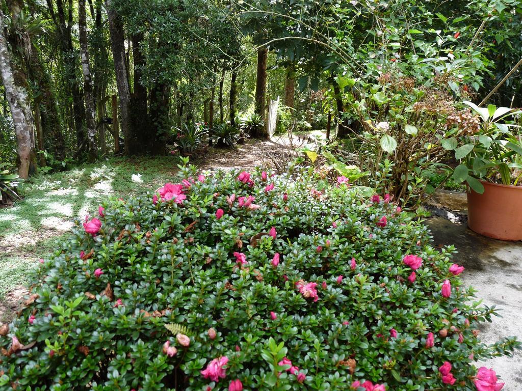 Aromas Da Serra II Campos do Jordão Extérieur photo